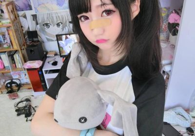 色彩缤纷的美图查魔物喵照片，展现出职业猫咪的神奇魔力