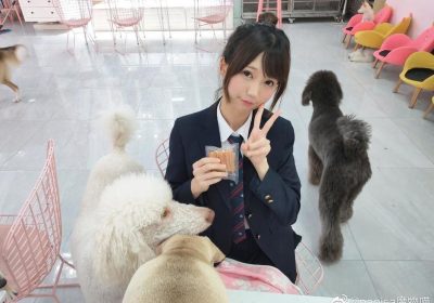 魔物喵cos图片：展现魔法世界的原图精选