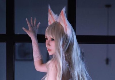 用心制作的黑白御猫白猫精美图包