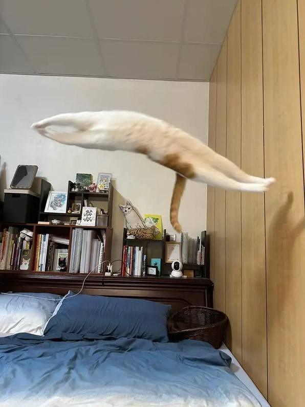 轻松一刻第1561期 年轻人在上一种很省钱的班-31