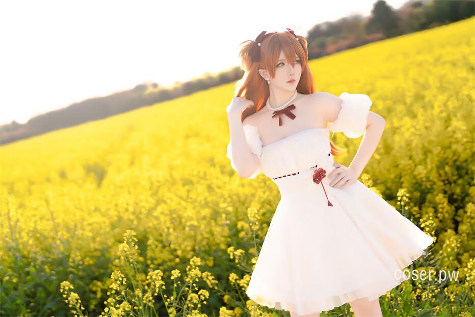 星之迟迟EVA的明日香花之语 COSplay作品揭晓-2 星之迟迟EVA的明日香花之语 COSplay作品揭晓-2