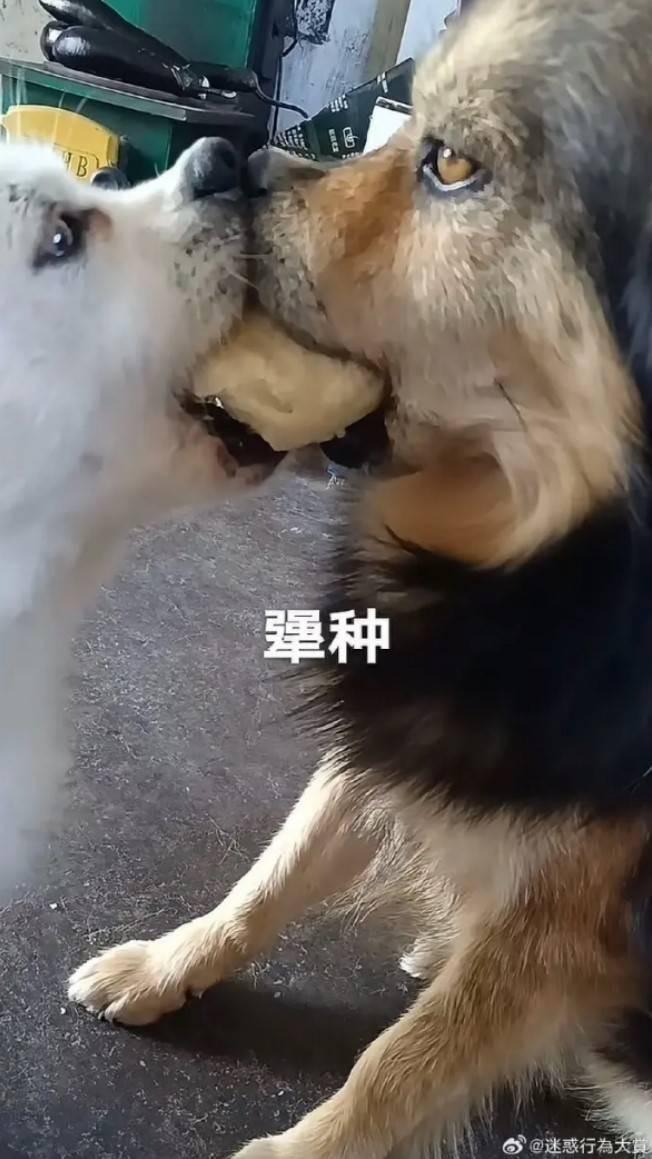 轻松一刻第1561期 年轻人在上一种很省钱的班-24