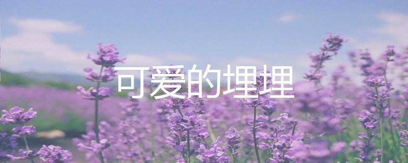 虎牙二次元声控助眠主播可爱的埋埋人气为什么这么高?-1 虎牙二次元声控助眠主播可爱的埋埋人气为什么这么高?-1