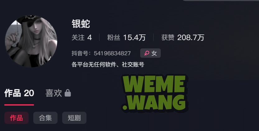 银蛇大人：抖音微密圈的时尚缪斯-3