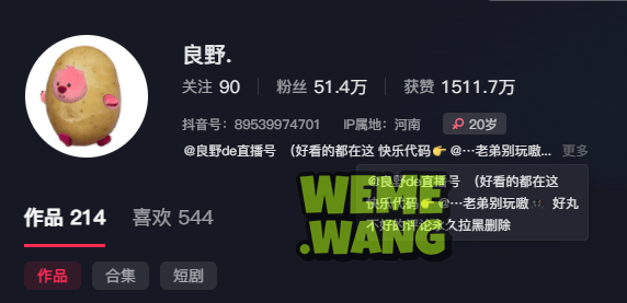 神秘兔女郎与多面魅力：抖音红人良野的视觉探索-1