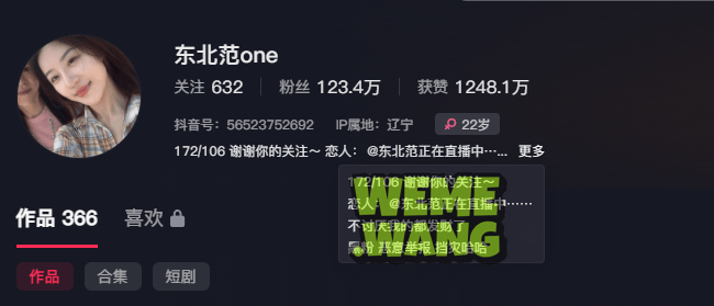 东北范one多样化的穿搭分享，精致外貌的标准美女-1