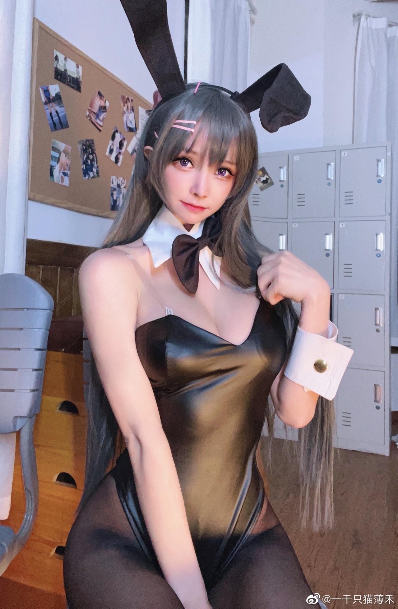 一千只猫薄禾独家原图，高超收藏技艺-2