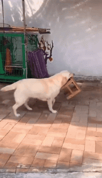 轻松一刻第1561期 年轻人在上一种很省钱的班-14