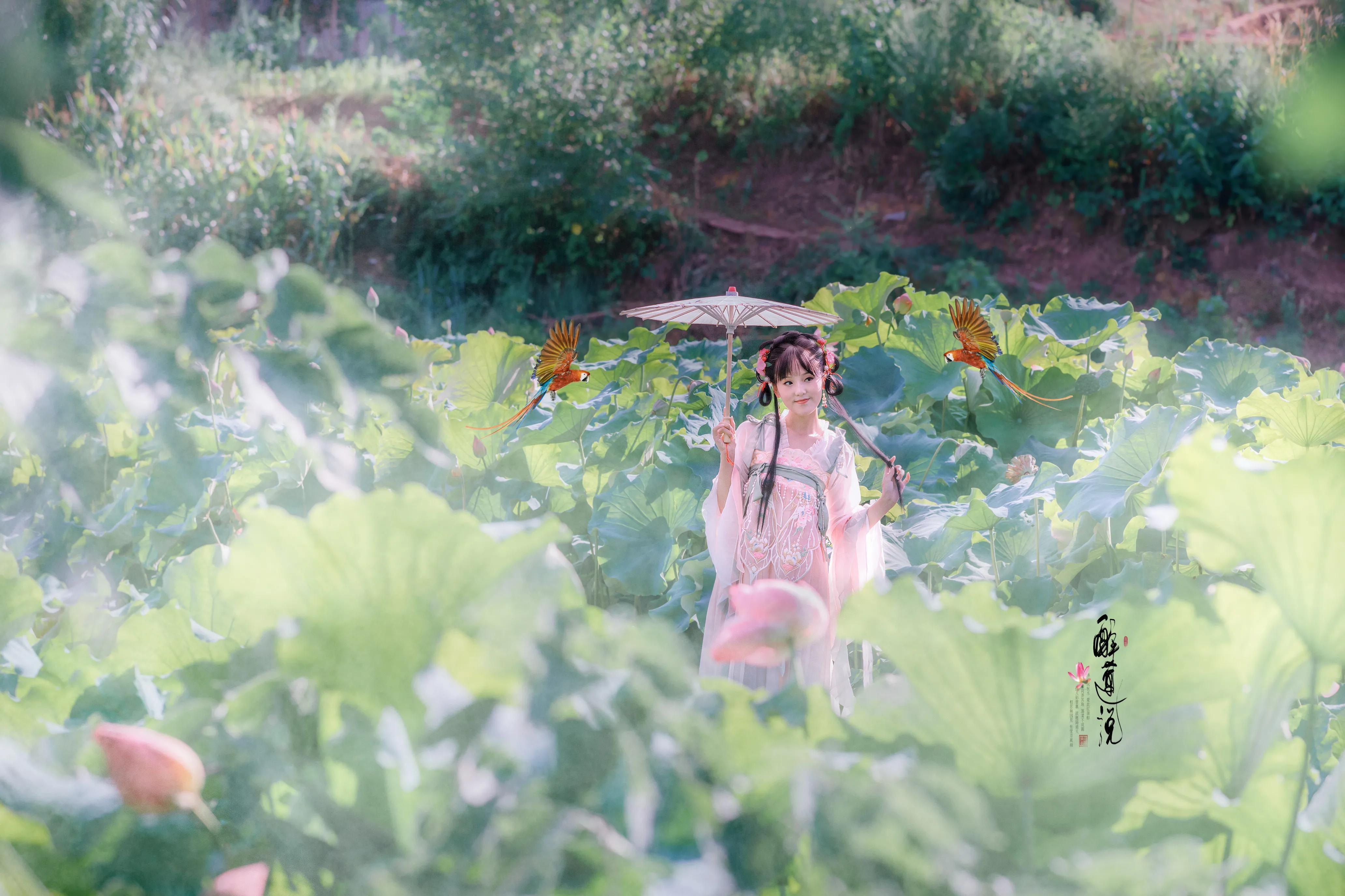 心醉迷，梦醉迷。叶铺池，花开池。-1