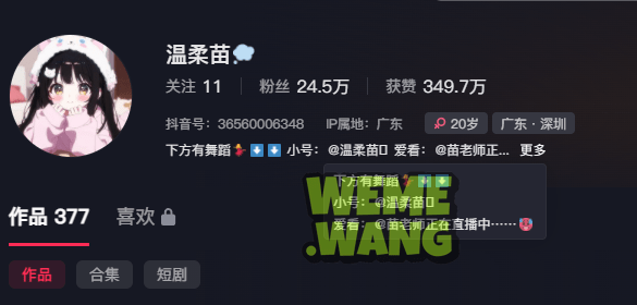 抖音苗老师温柔苗的魅力舞动，追寻舞蹈的极致-1