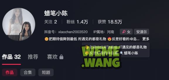 抖音辣妹蜡笔小陈视图，反差魅力下的百变人生-1