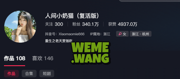 人间小奶猫介绍,岛遇系列图片一览-2 人间小奶猫介绍,岛遇系列图片一览-2