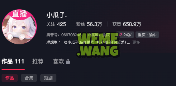 重庆甜辣女神小瓜子：反差美学缔造者，多平台绽放的视觉盛宴-1