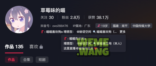 《草莓味的喵秘语空间资源揭秘，口罩背后的神秘与魅力》-1