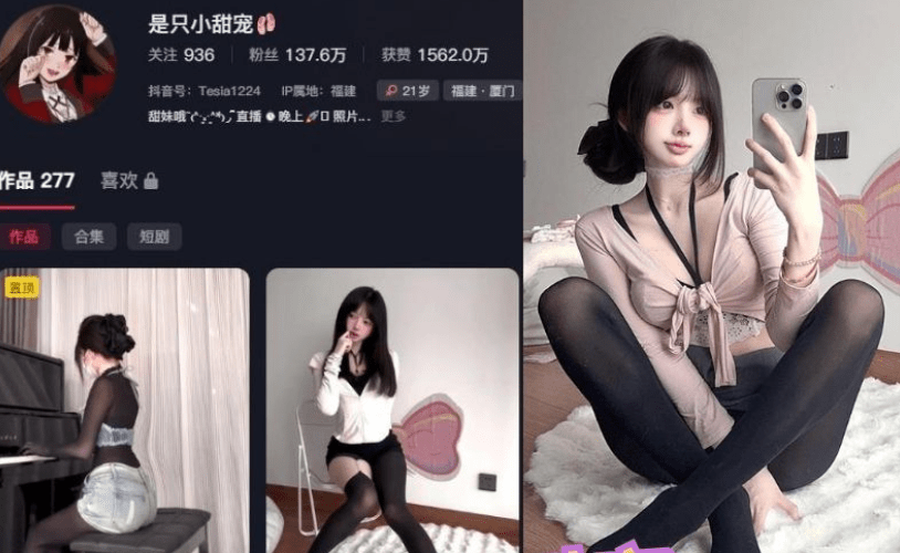 是只小甜宠秘语空间作品介绍，每一个姿势藏着治愈的小美好-2