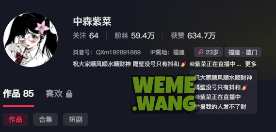 抖音红人中森紫菜：在光影流转间绽放的时尚魅力-1