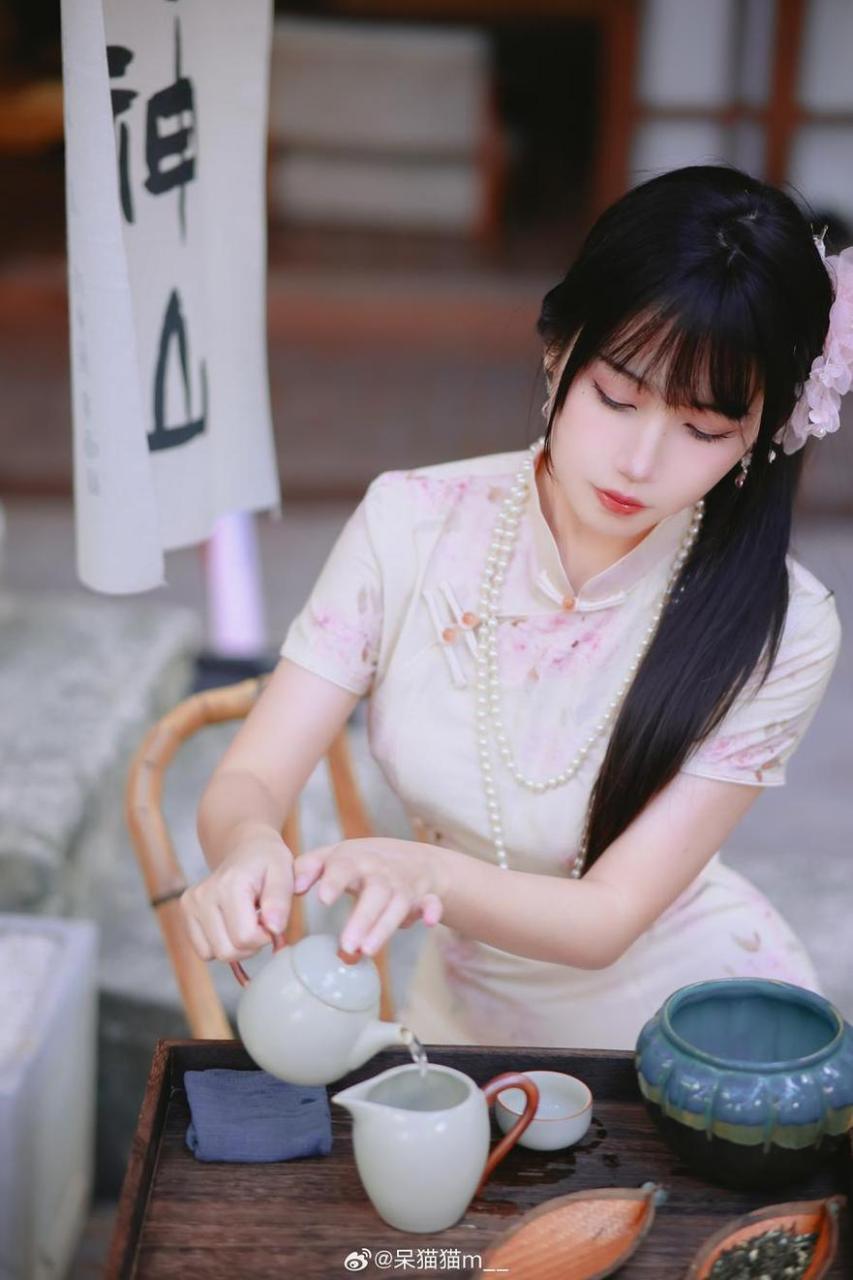 不呆猫不槑猫的原图摄影作品 不呆猫不槑猫的原图摄影作品